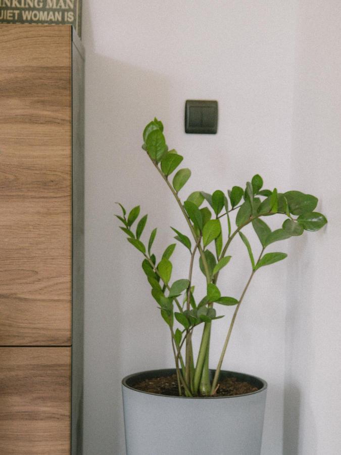 Willa Piwniczka Apartament Jahlowej Piwniczna-Zdroj Esterno foto